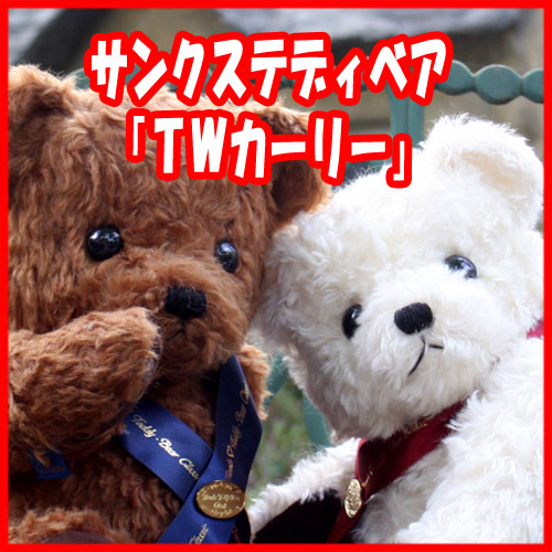 人気特価激安 赤ちゃん 体重 身長 ウェイト テディベア ベア ドール 人形 ファースト ハーフ 1歳誕生日 プレゼント 男の子 女の子 孫 初孫 ギフト 出産内祝い お祝い 名入れ 名前入り ウェイトベア ギフト 赤ちゃん 身長体重ベア Twカーリー 新品即決 Www World Of