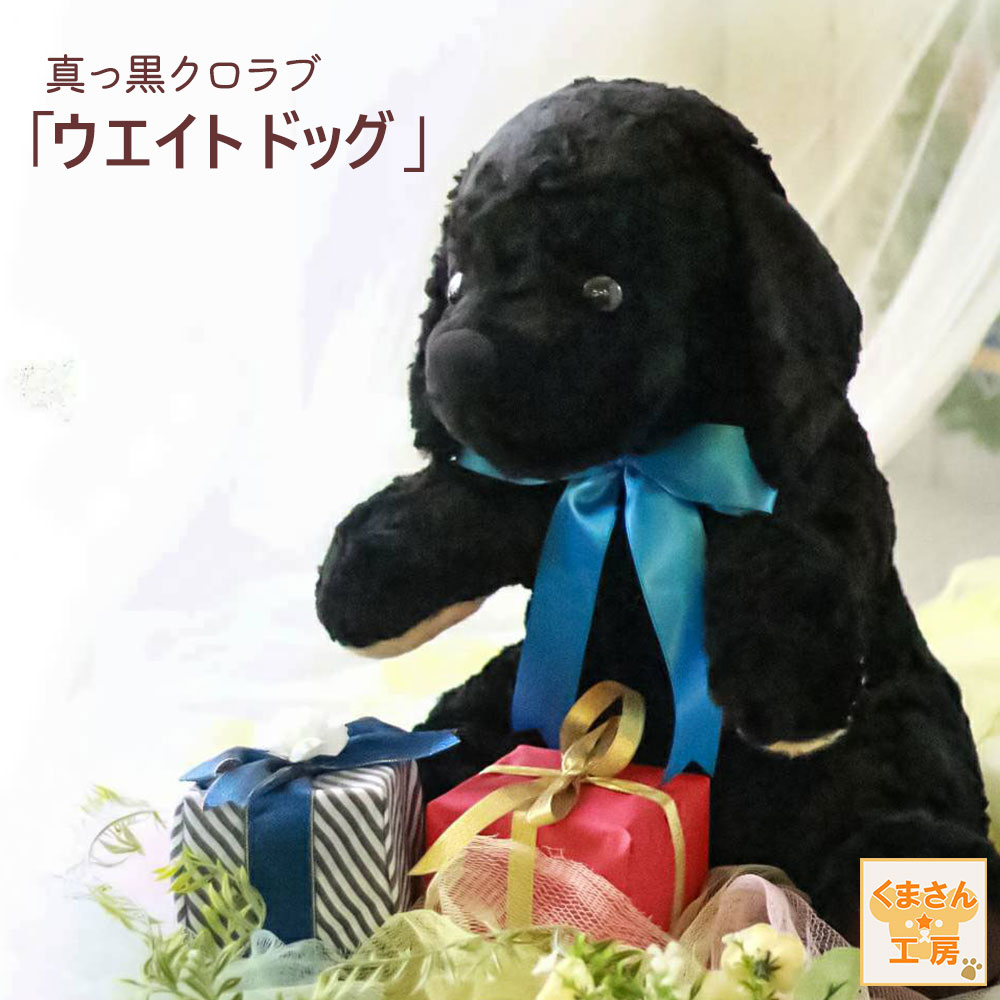 【9月まで】海外作家　シュナウザー　ぬいぐるみ　ドール　犬 81HNKYWBEcL._UF350,350_QL50_.jpg