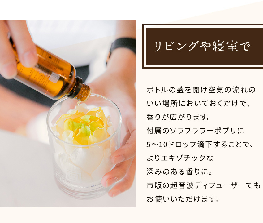 エッセンシャルオイルEB 10mL《エデンブリーズ》ルームフレグランス