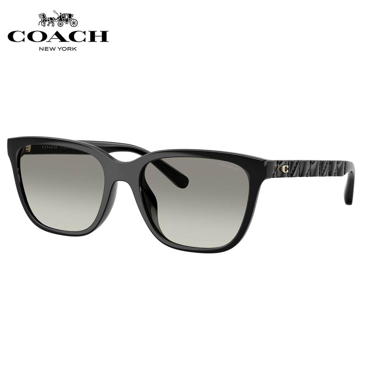 コーチ HC8429D 50023C 56 サングラス COACH アジアンフィット メンズ レディース