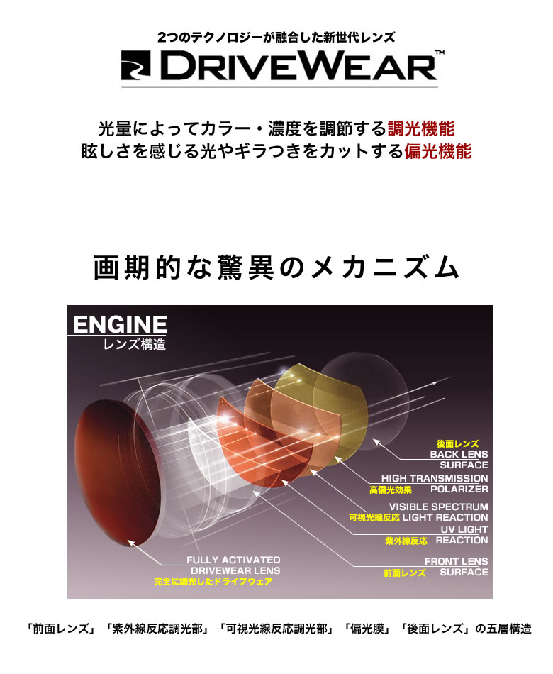 送料無料お手入れ要らず カルバンクライン ドライブウェア 可視光調光 偏光サングラス 乱反射カット 車の中でも色が変わる 調光 UVカット  紫外線カット CalvinKlein CK5848A DW 51サイズ あす楽対応 UV400 OS www.bmb-okna.ru