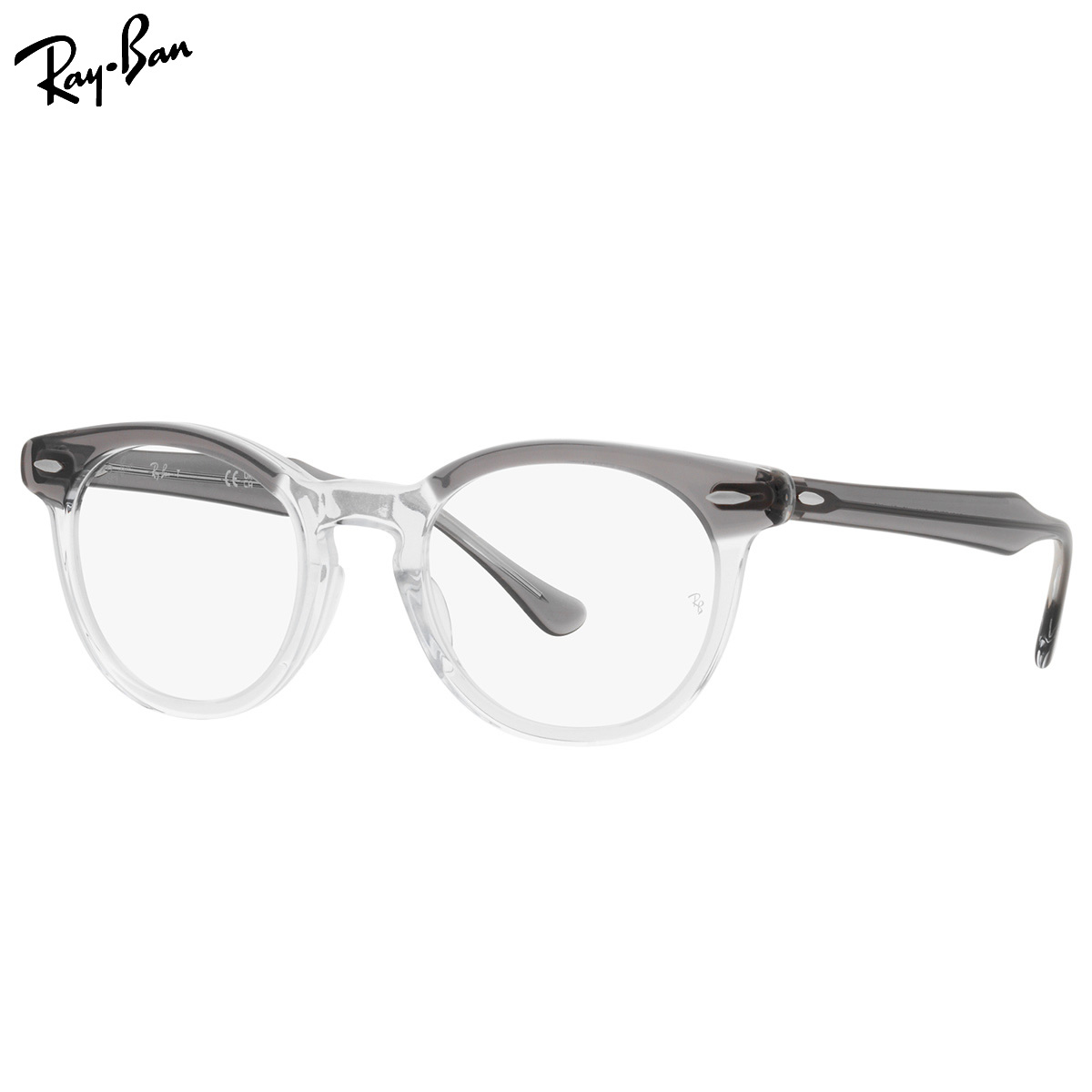 レイバン RX5598F 8111 51 メガネ Ray-Ban EAGLEEYE イーグルアイ 度数付き対応 メンズ レディース|メガネ・サングラスのThat’s