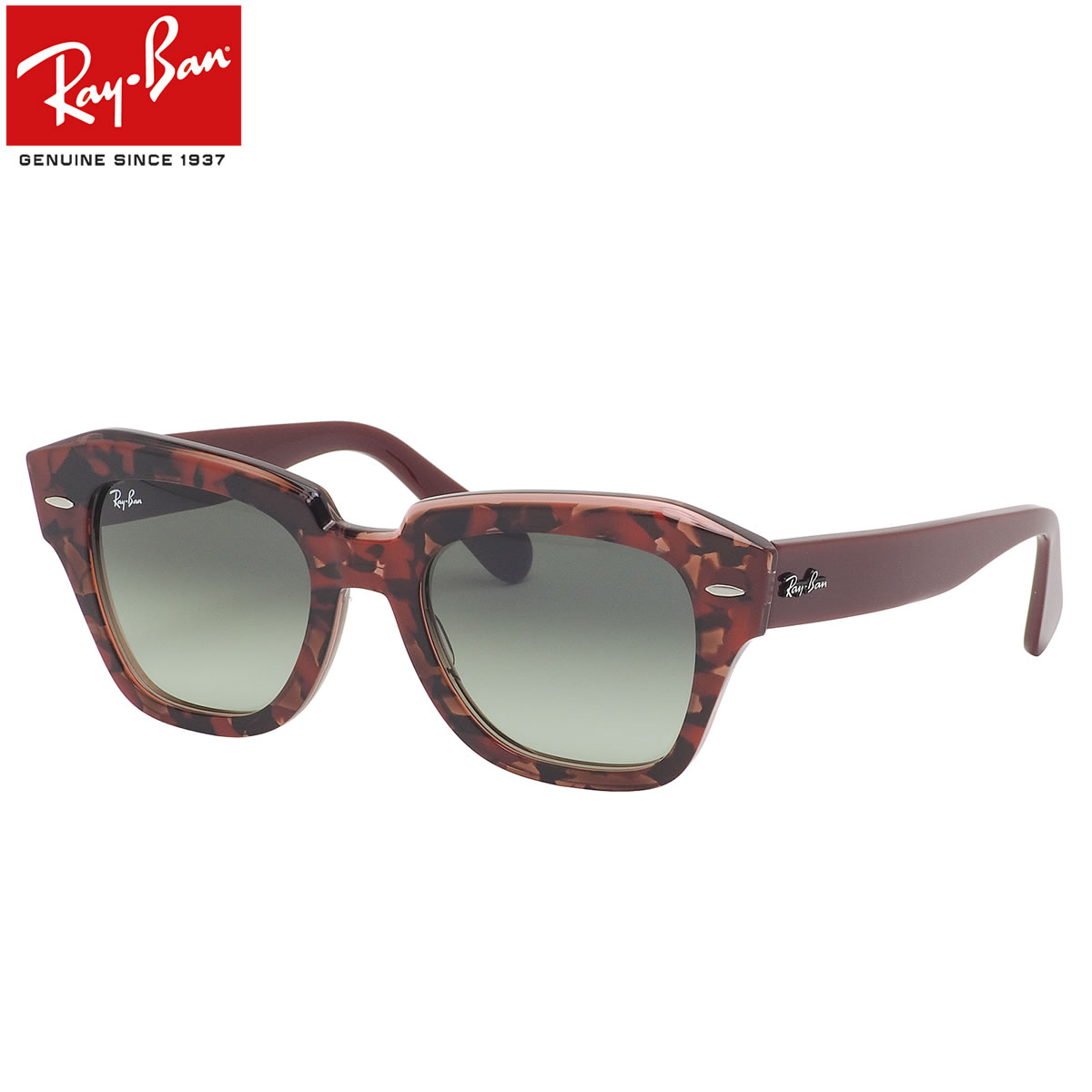 RAY-BANサングラス WAYFARER REVERSE Sunglasses in Black and Dark Green