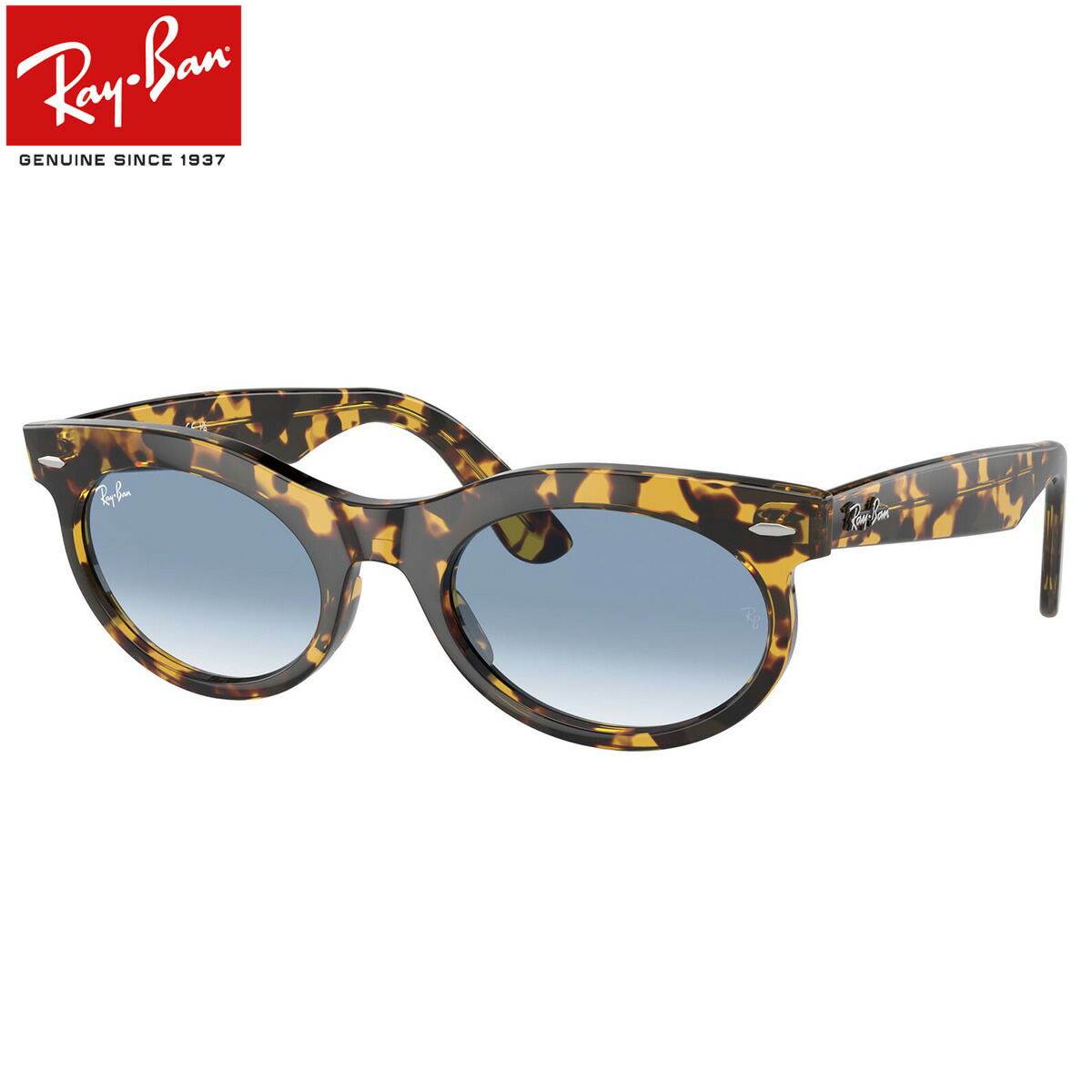 Ray-Ban RB 4256F ブラックサングラス　ウェイファーラー rb2242f-13323f-53.jpg