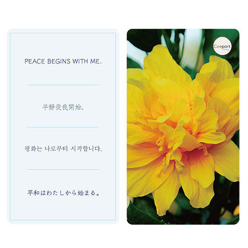 楽天市場】SITH Ho'oponopono DVD ～平和は「わたし」から始まる～ DVD 