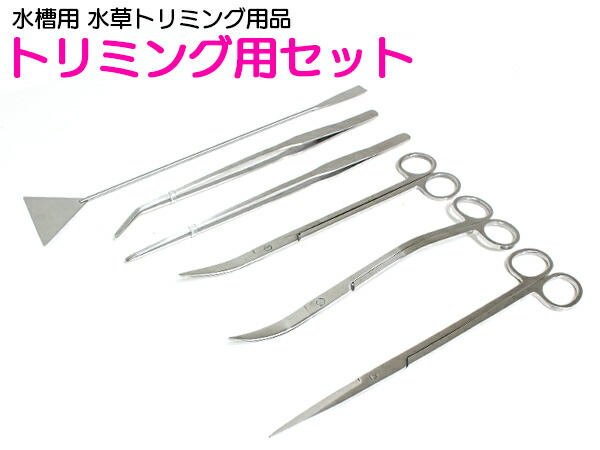 楽天市場 水草用 ステンレス トリミング セット 水槽メンテナンス ピンセット ハサミ 6点セット 水槽 水草レイアウト 水草 植込み 維持 熱帯魚 アクアリウム 水草水槽 トリミング メンテナンス レイアウト ロングサイズ ザ アペックス 楽天市場店
