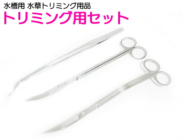 楽天市場 水草用 ステンレス トリミング セット 水槽メンテナンス ピンセット ハサミ 3点セット 水槽 水草レイアウト 水草 植込み 維持 熱帯魚 アクアリウム 水草水槽 トリミング メンテナンス レイアウト ロングサイズ ザ アペックス 楽天市場店