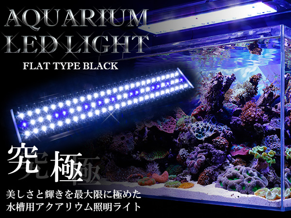 楽天市場 水槽用 Led 照明 Ledライト Led600 9w ブルー ホワイト アクアリウム 熱帯魚 淡水魚 海水魚 水草 サンゴ 観賞魚 水槽 レイアウト ザ アペックス 楽天市場店