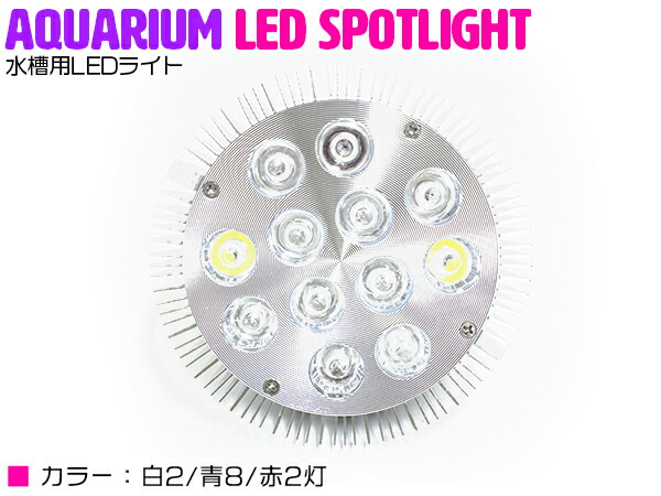 楽天市場 交換球 Led スポットライト 白2青8赤2 照射角60度 水槽用照明 Led照明 Ledライト アクアリウム 熱帯魚 淡水魚 海水魚 水草 サンゴ イソギンチャク ミドリイシ シャコガイ 観賞魚 水槽 レイアウト ザ アペックス 楽天市場店