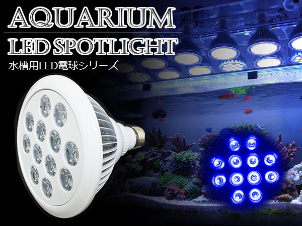 交換球 Led スポットライト 青12灯 照射角90度 水槽用照明 Led照明 Ledライト アクアリウム 熱帯魚 淡水魚 海水魚 水草 サンゴ イソギンチャク ミドリイシ シャコガイ 観賞魚 水槽 レイアウト Devils Bsp Fr