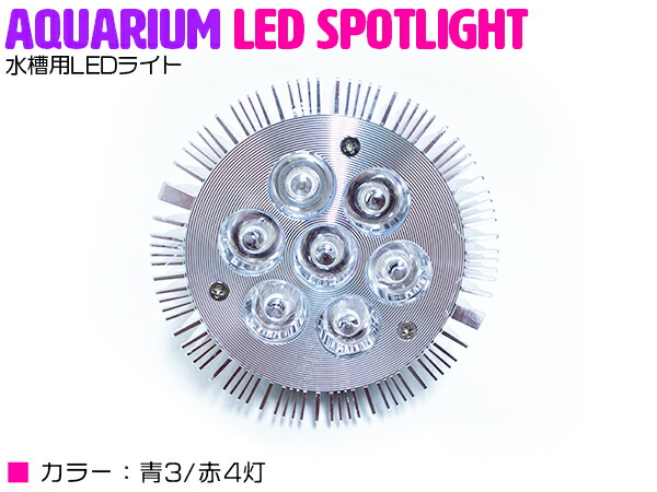 楽天市場 交換球 Led スポットライト 青3 赤4灯 照射角60度 水槽用照明 Led照明 Ledライト アクアリウム 熱帯魚 淡水魚 海水魚 水草 サンゴ イソギンチャク ミドリイシ シャコガイ 観賞魚 水槽 レイアウト ザ アペックス 楽天市場店