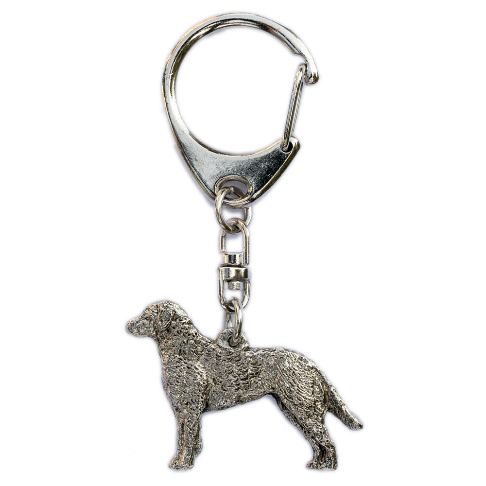 チェサピークベイレトリバー イギリス製 アート ドッグキーホルダー コレクション 英国製 犬 動物 グッズ 雑貨 芸術的 アイテム ご予約品