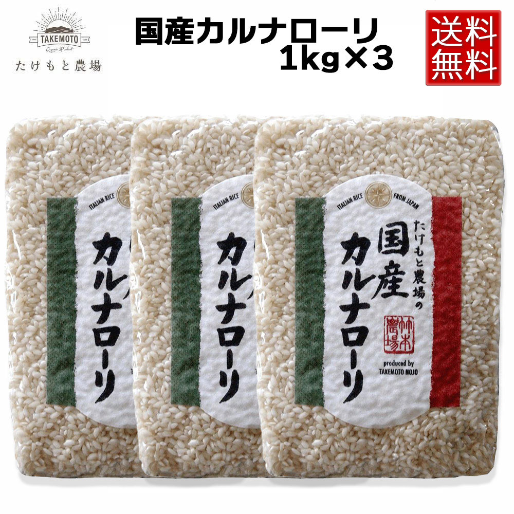 楽天市場】【到着日指定不可（指定している場合、キャンセル対応