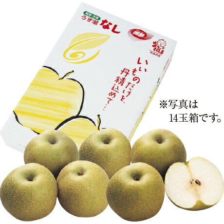 幸水梨 14玉 徳島県産（JA大津松茂）