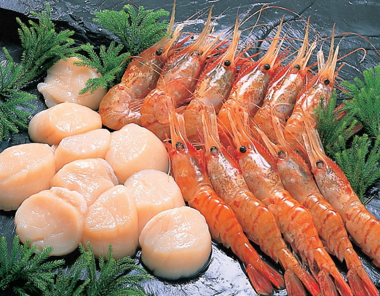 えび ぼたん海老 帆立貝柱セット (カネサン佐藤水産)(冷凍)| ホタテ貝 ホタテ 貝柱 海老 えび ボタン海老｜フジネットショップ店 8,599円