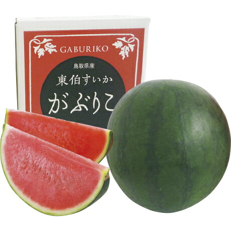 お中元 送料無料 鳥取県産 がぶりこ がぶりこスイカ4L以上　1玉入
