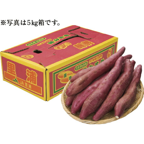 なると金時（里むすめ） 5kg 徳島県産（JA里浦）