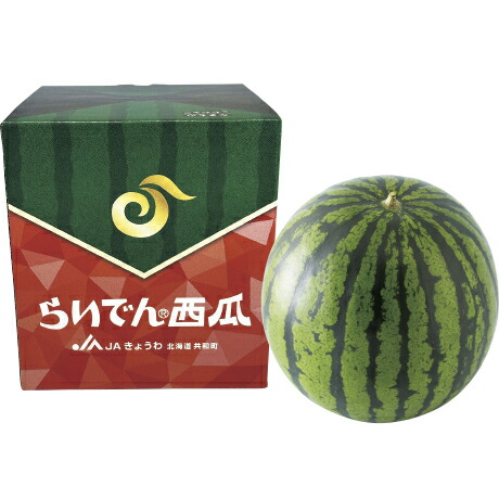 お中元 送料無料 北海道産 らいでん西瓜 1玉