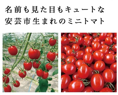 心うれしい赤なす 3kg クォンティティ糖度トマト 高知県産 合一 Stk 212 199 高知 安芸 とまと トマト ミニトマト プチトマト 草片 フルーツ 捧げる プレゼント Cannes Encheres Com