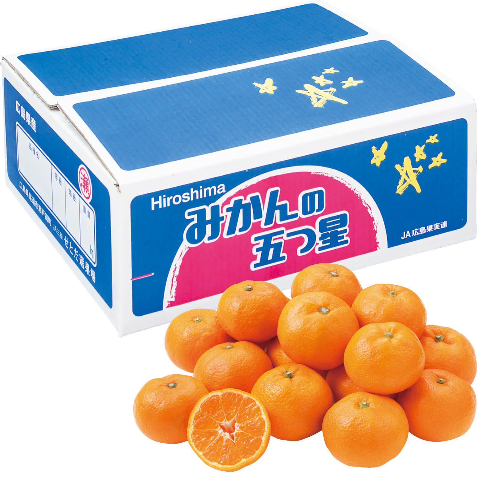 みかん2 楽天市場】みかん 苗木 【大津4号温州みかん】 2年生接木苗 : 苗木部