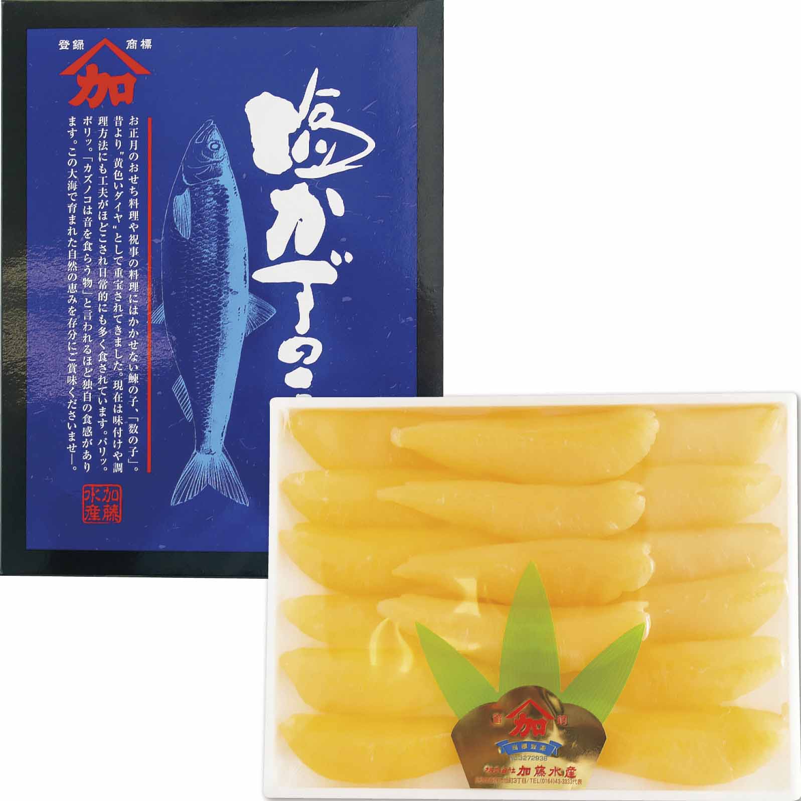 キャラクターグッズ PLAZA ハイスクールミュージカル ボストンバッグ