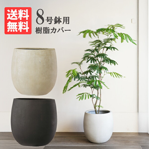 軽気球型 デザイナーズ 御膳上等鉢取りまかなう 貨物輸送無料 観葉草木 今めかしい 中型 8号 室内装飾  ８号鉢がすっぽり 室内装飾取りまかなう 白いこと 黒いこと