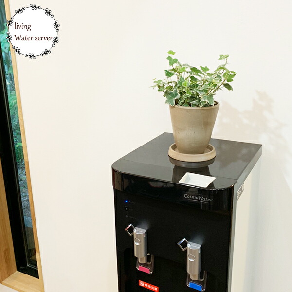 観葉植物 セット 本物 ミニ 鉢セット お試し 特価 お買い得 ボタニ ポット植えの観葉植物 小型 小鉢 ミニサイズ インテリア Educaps Com Br