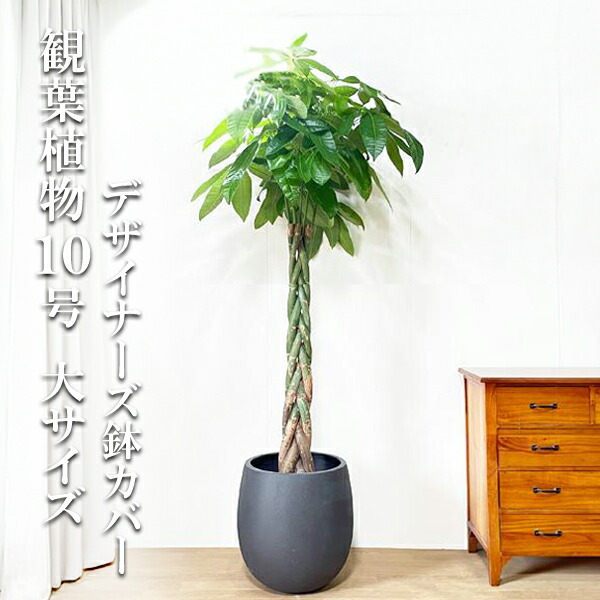 大きめ 観葉植物に！ おしゃれな鉢カバー 楽天市場】鉢カバー プランター カバー おしゃれ 大型 人気