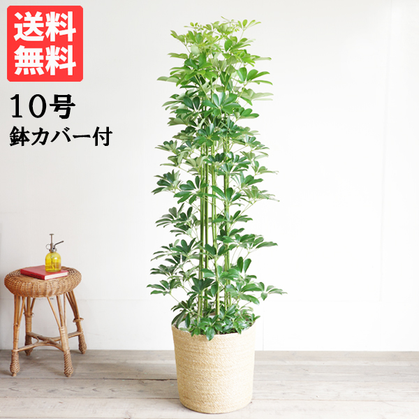 楽天市場】鉢カバー 10号 10号鉢がすっぽり 手編みバスケット