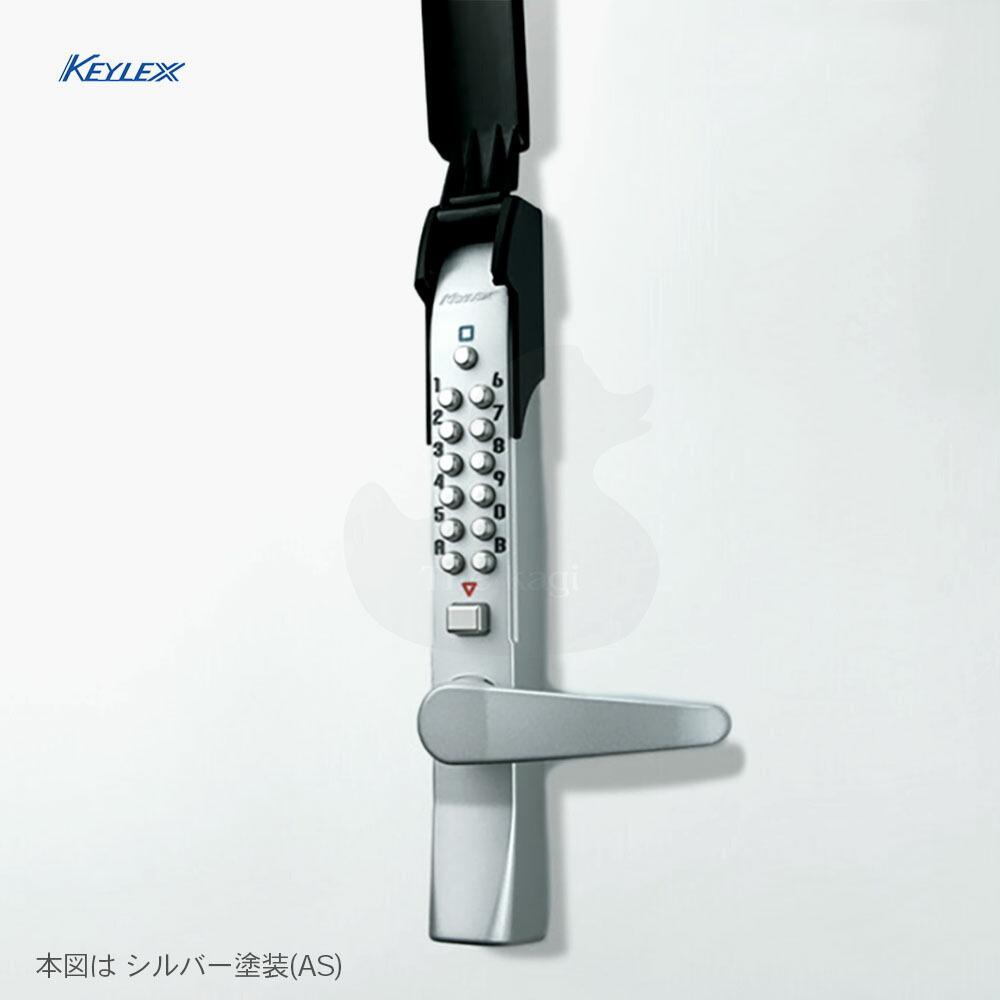 楽天市場】【当店限定!!毎日ポイント10倍】長沢 KEYLEX