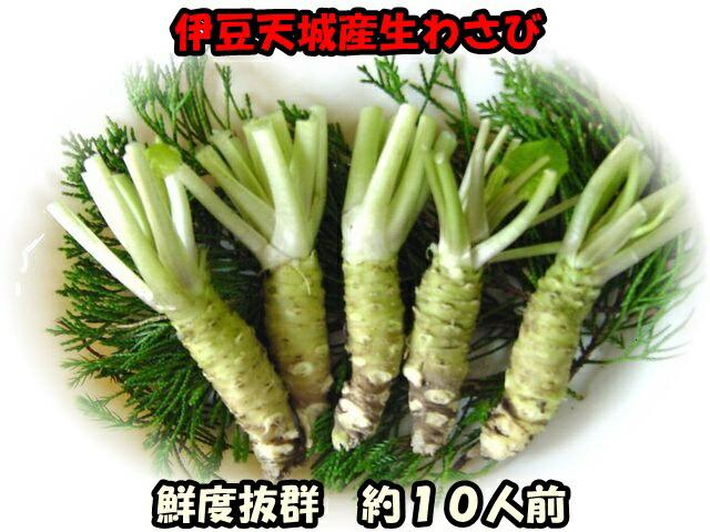 楽天市場】わさび（大） 2k箱 20-30本入り : 夜の八百屋さん