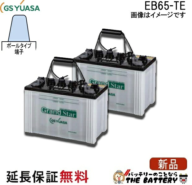 2個セット 保証付 EB65 TE ポール端子 蓄電池 自家発電 GS YUASA ユアサ 小形電動車用鉛蓄電池 38,597円