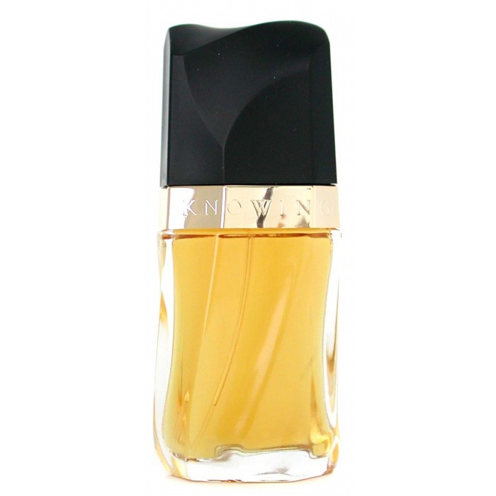 エスティーローダー ノウイング オードパルファム 75ml Amazon | ESTEE LAUDER(エスティローダー) ノウイング オー ドゥ
