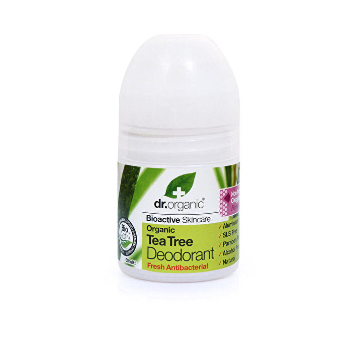 This week’s Editor’s Picks  2026/6/4