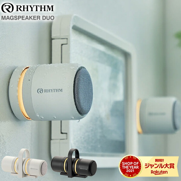 magspeakerduo.jpg