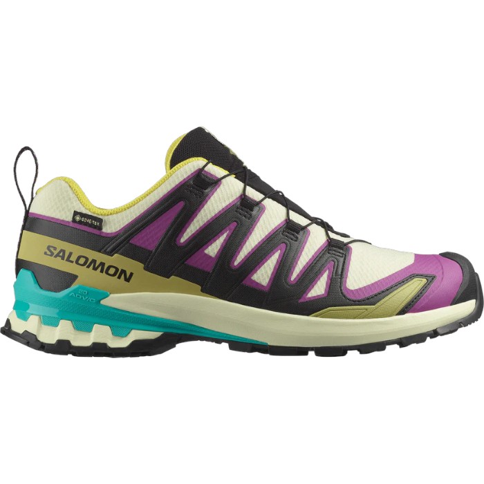 【 正規取扱店 / 送料無料 】SALOMON (サロモン) - XA PRO 3D V9 GORE-TEX (エックスエー プロ V9 ゴアテックス)