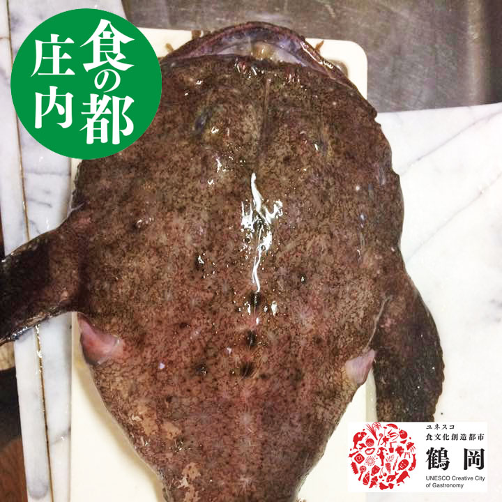 【アンコウ】 2.5kgから3kg丸ごと1尾 冷蔵 送料無料 山形県産天然 あんこう 鮟鱇 あん肝 鍋 食の都庄内
