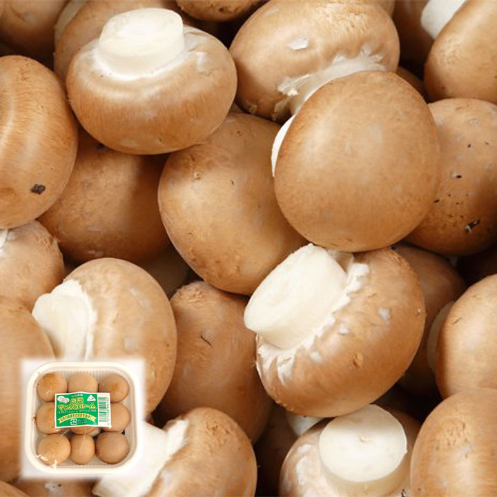 楽天市場】マッシュルーム別称：シャンピニオン1パック、100g前後、6