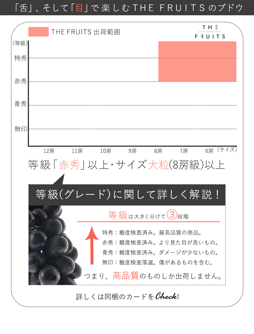 独創的 The Fruits Pione 岡山県産 種無し ピオーネ 1房 等級赤秀 以上 大粒 8房級 出産祝い 内祝い お返し 贈答品 出産内祝い 入学内祝い 引き出物 快気祝い 結婚祝い 結婚内祝い 引出物 引っ越し 引越し お祝いグルメ フルーツ 果物 葡萄 ブドウ Sferavisia Hr