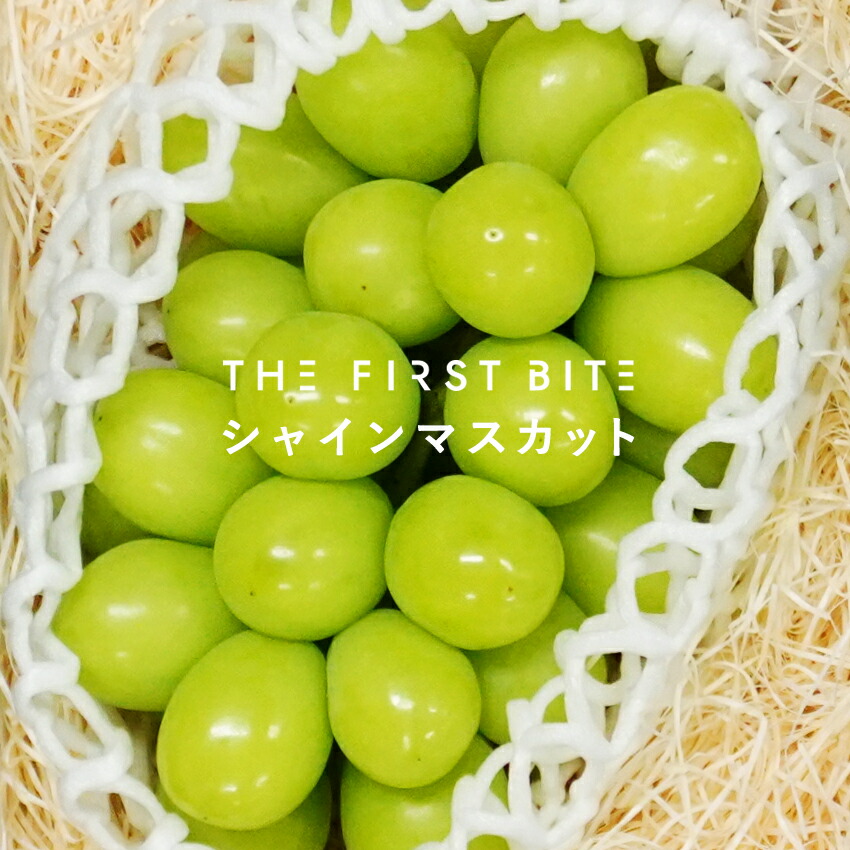 The Fruits 1房 B お供え アローマメロン ギフト シャインマスカット フルーツ マスカット マスクメロン メロン 内祝 内祝い 出産内祝い 出産祝い 引き出物 引出物 引越し 御供 快気祝い 果物 結婚内祝い 結婚祝い 詰め合わせ 贈答品 静岡県産 香川県産 １玉 無料長期保証