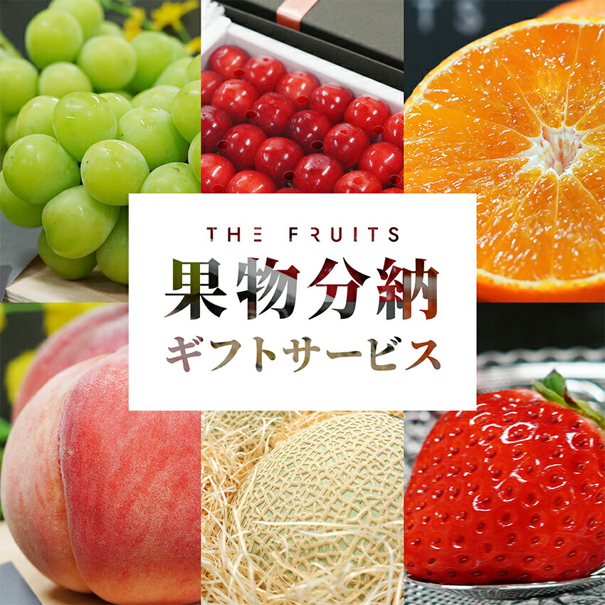 【父の日に】果物分納ギフトサービス THE FRUITS 内祝い お返し 出産内祝い 内祝 結婚祝い 結婚内祝い 詰め合わせ ギフト フルーツ 果物  希少 贈答用  サブスク 定期購入 定期便 メロン 高級 佐藤錦 桃 せとか 甘平 贈答品 御中元 お中元 父の日 母の日