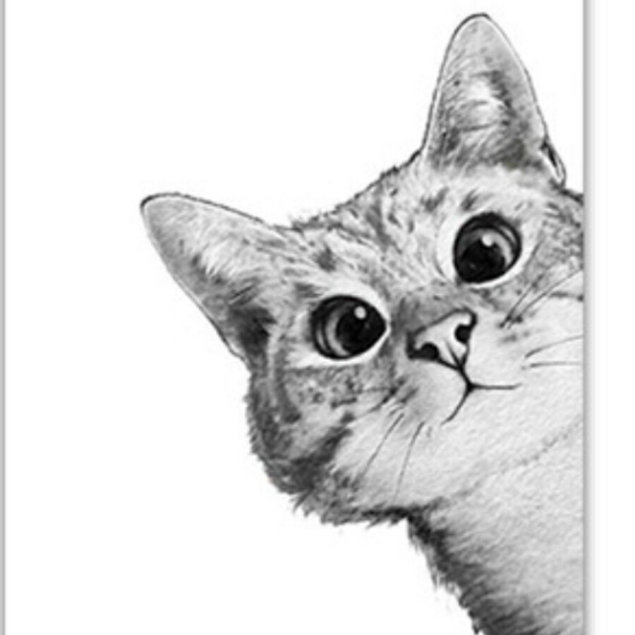 絵画 猫 絵 イラスト ブラック アート キャンバス 額付き ペインティング 壁掛け モダンアート パネル ファブリック Cat モノトーン