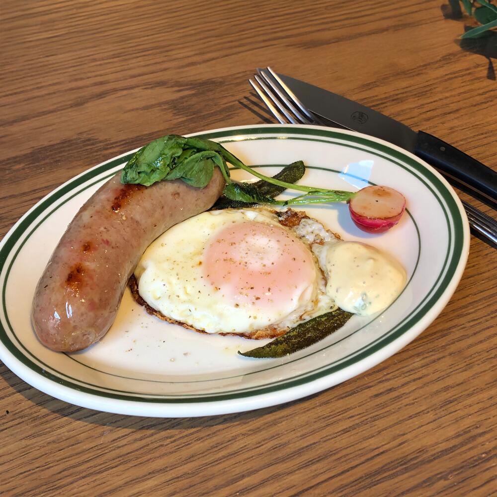 楽天市場】【オーバルプレートxアメリカン】TUXTON タクストン Green