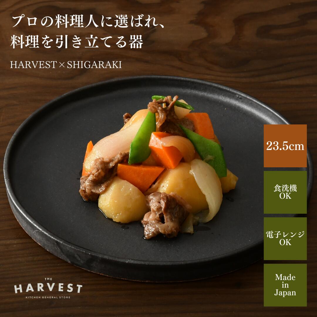 楽天市場】【P10倍】HARVEST kuro リムプレート 信楽焼 皿 25cm｜和