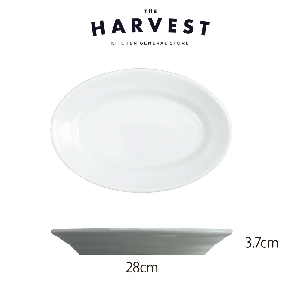 楽天市場】【数量限定】サタルニア チボリ ブルーライン オーバル