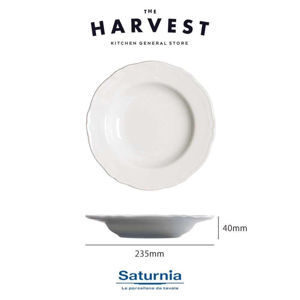 楽天市場】【P10倍】【レストラン風プレート】Saturnia(サタルニア