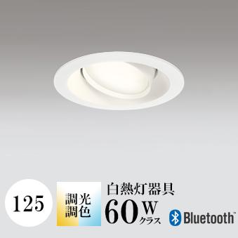 ダウンライト 開口125φ 調光・調色 白熱灯60W相当 ホワイト Bluetooth ※工事必要 SB型(高気密 断熱材対応型) 配光114° 拡散 フラット形LED