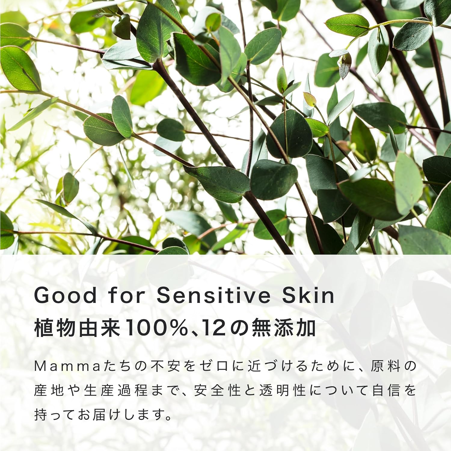 ママベビー ノンケミカルUVミルク SPF50+ PA++++ / SPF30 PA+++ 50mL｜新生児から使える 完全ノンケミカル ・ ノンシリコン 100％植物由来｜日焼け止め 紫外線吸収剤フリー 紫外線対策 紫外線ケア 敏感肌 無添加 化粧下地 オーガニック
