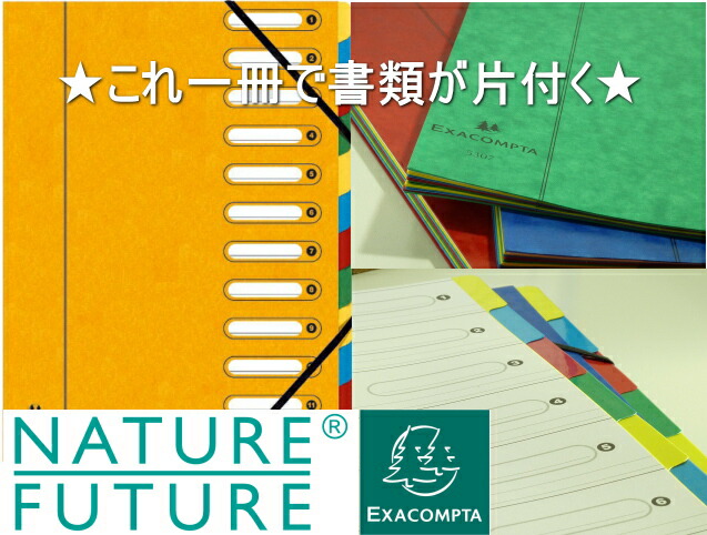 楽天市場】【全品P10倍♪9/24 01:59まで】EXACOMPTA エグザコンタ マルチパート ファイル 7分割 A4おしゃれ 文房具 文具 :  The Wind