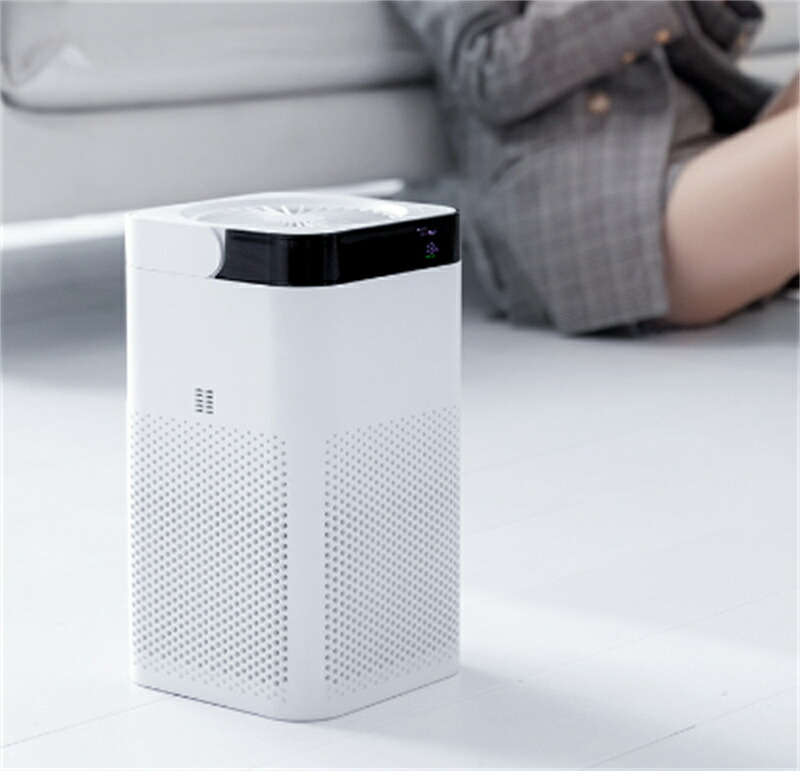 空気清浄機 12畳 マイナスイオン 10000mAh コードレス 小型 携帯便利 コンパクト 花粉 除菌 タバコ 脱臭 静音 ウィルス ハウスダスト PM2.5対応 三段階調整 ホワイト ベージュ ギフト 敬老の日|シングス